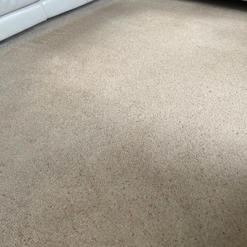 Carpet Cleaning Gallery Image - Sunshine Carpet & Upholstery Cleaning